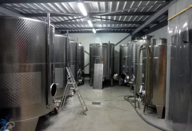 Cuverie vins blancs