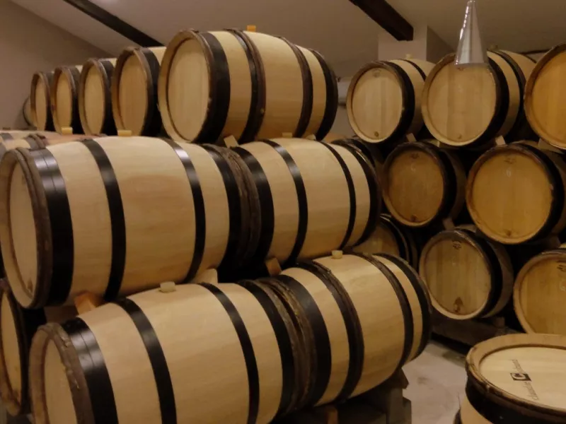 Cave vins rouges