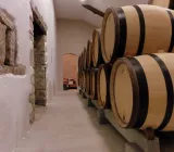 Cave vins rouges