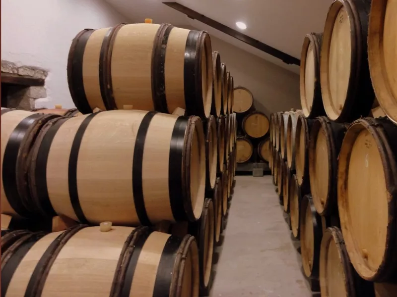 Cave vins rouges